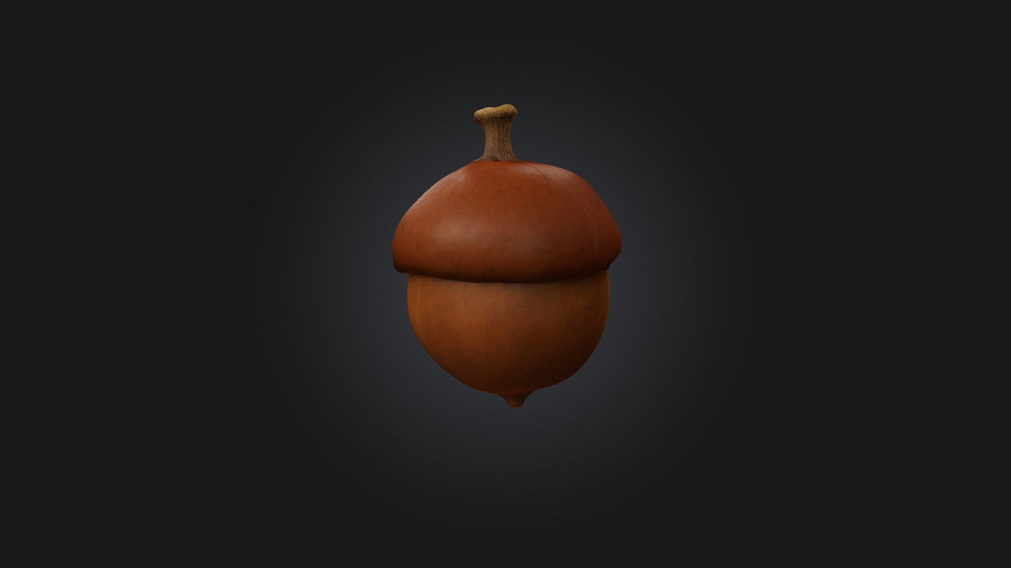 3D model Acorn Model VR / AR / low-poly