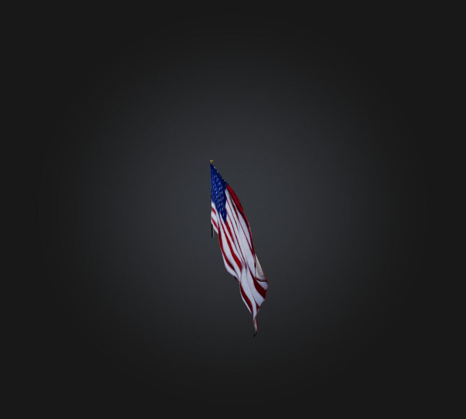 3D model American Flag VR / AR / low-poly