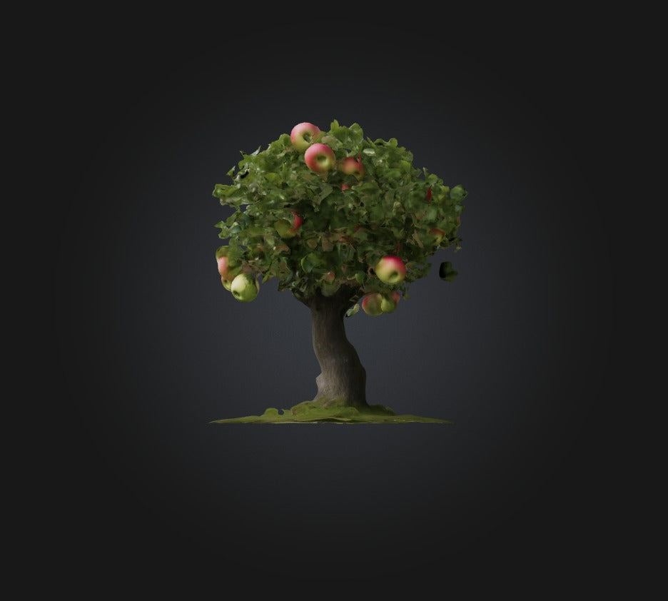 3D model Apple Tree 2 VR / AR / low-poly