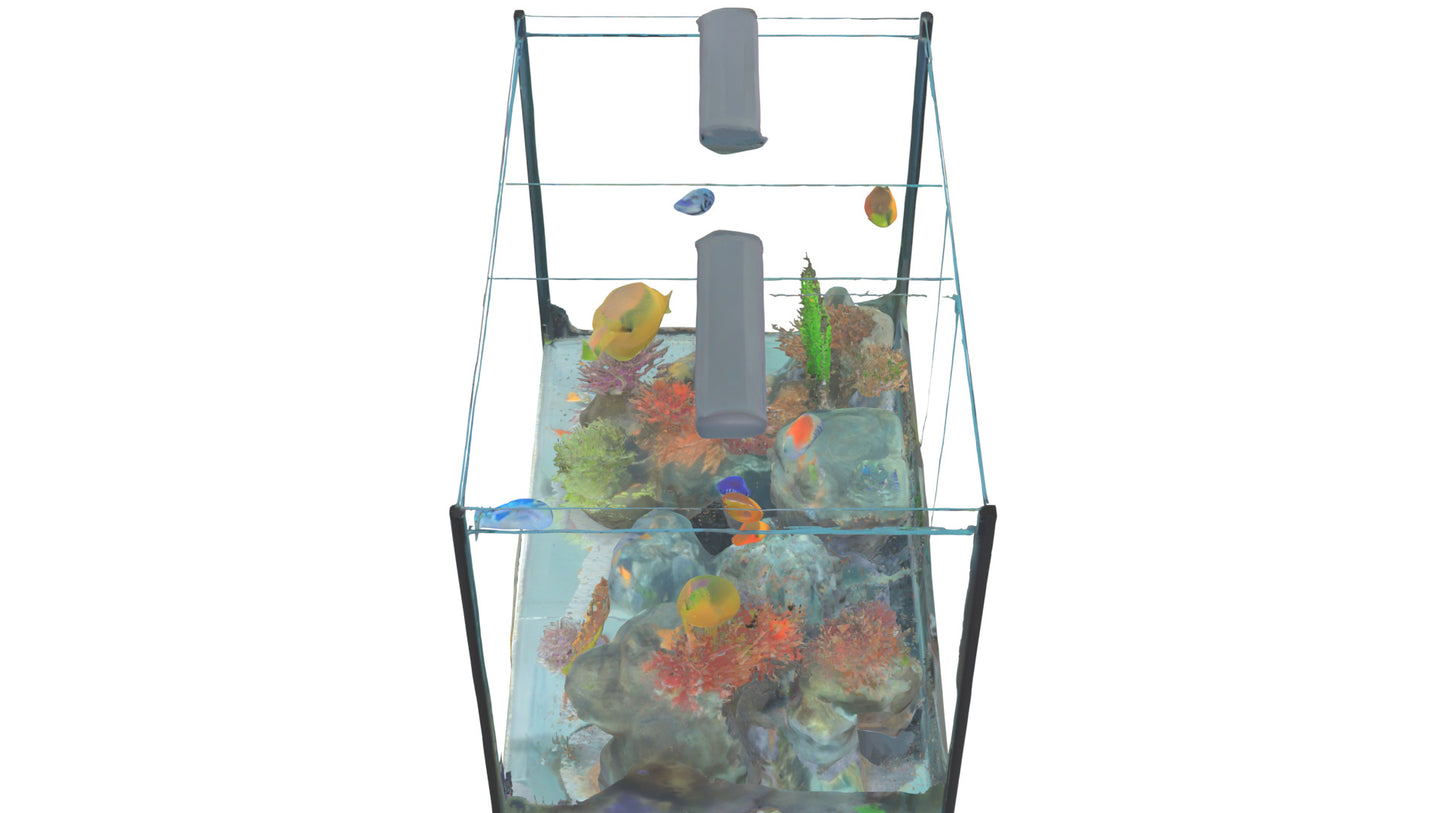 3D model Aquarium VR / AR / low-poly