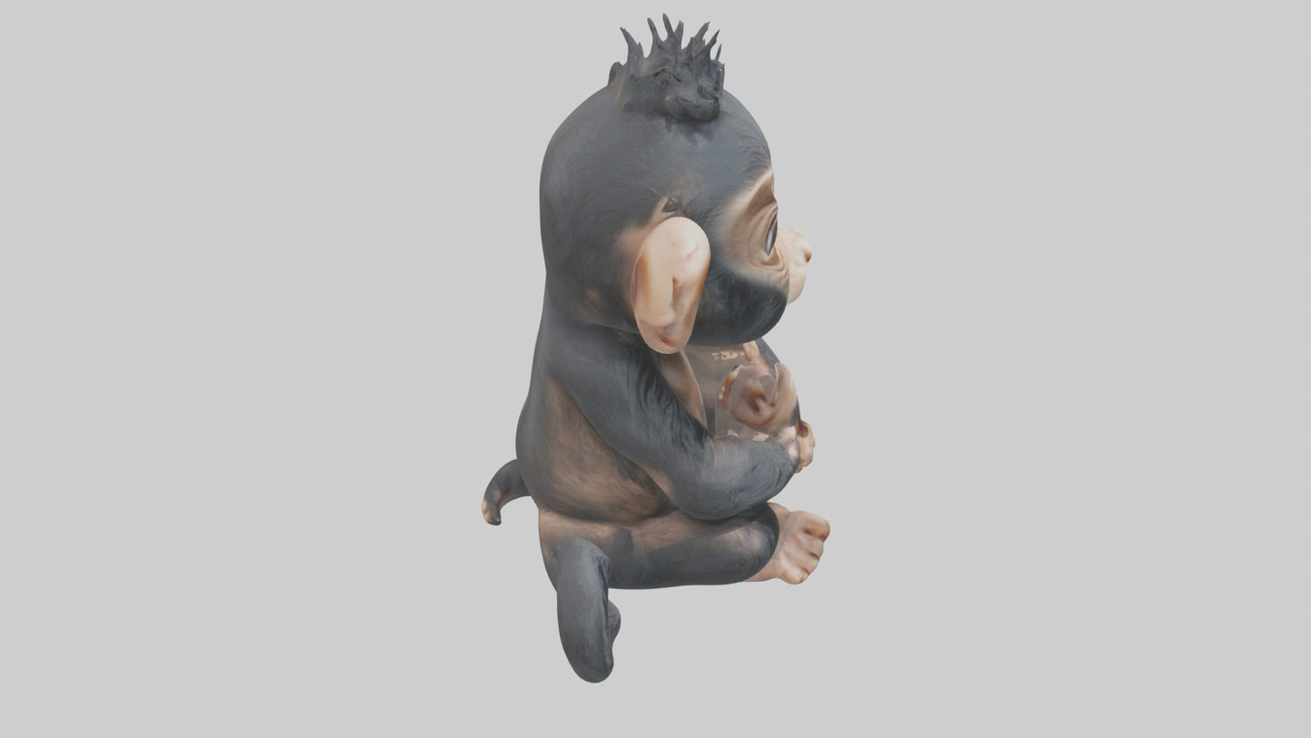 3D model Babychimpanzee Model 1 VR / AR / low-poly