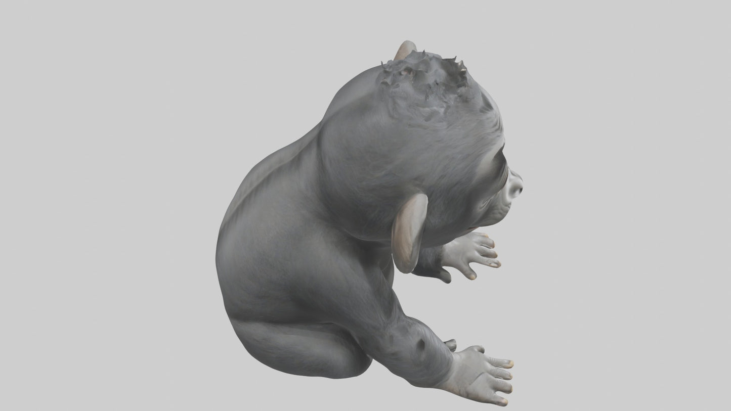 3D model Babygorilla Model 1 VR / AR / low-poly