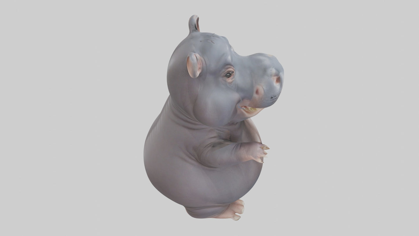 3D model Babyhippo Model 1 VR / AR / low-poly