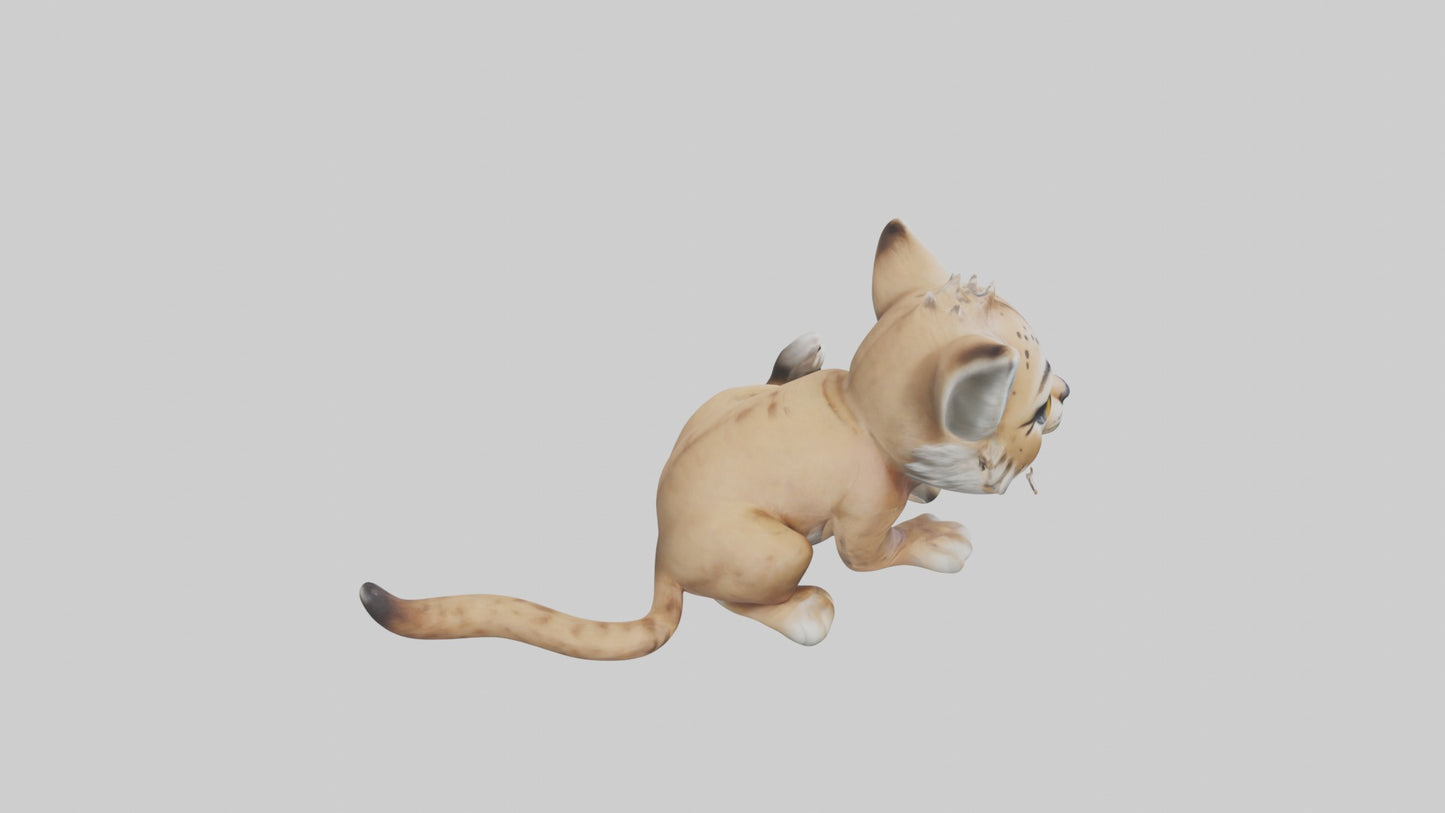 3D model Babylynx Model 1 VR / AR / low-poly