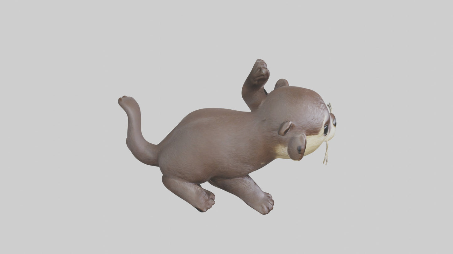 3D model Babyotter Model 1 VR / AR / low-poly