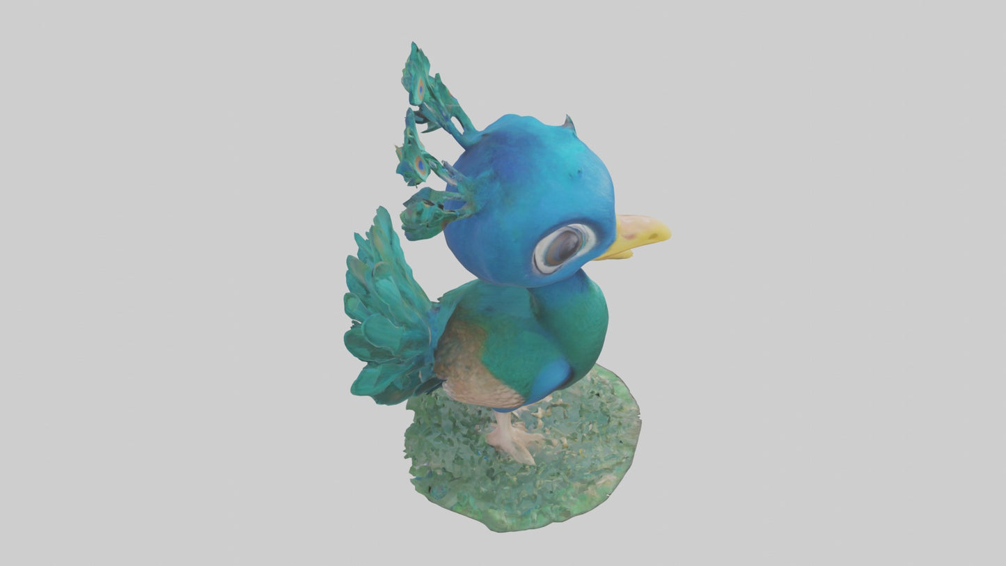 3D model Babypeacock Model 1 VR / AR / low-poly