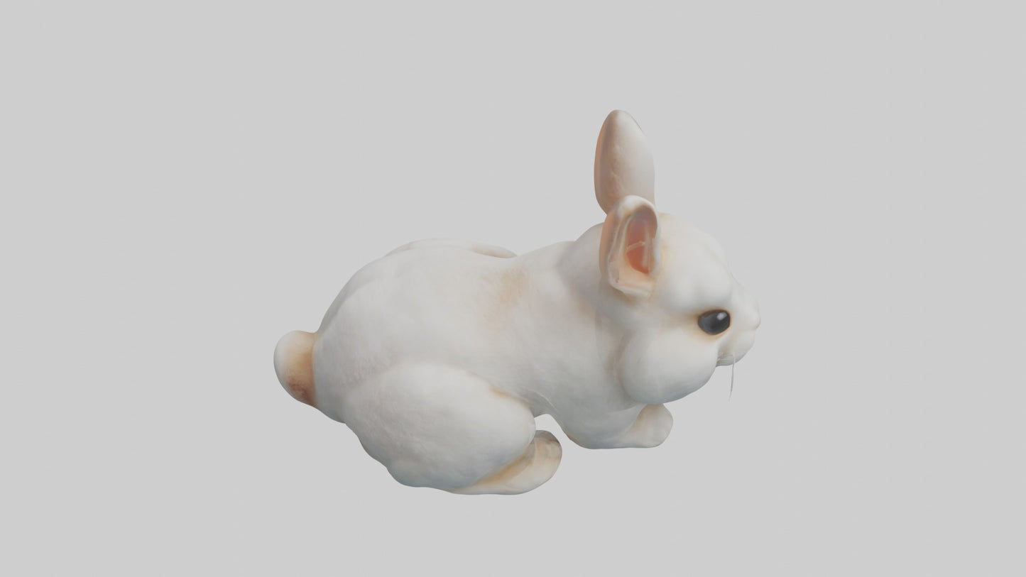 3D model Babyrabbit Model 1 VR / AR / low-poly