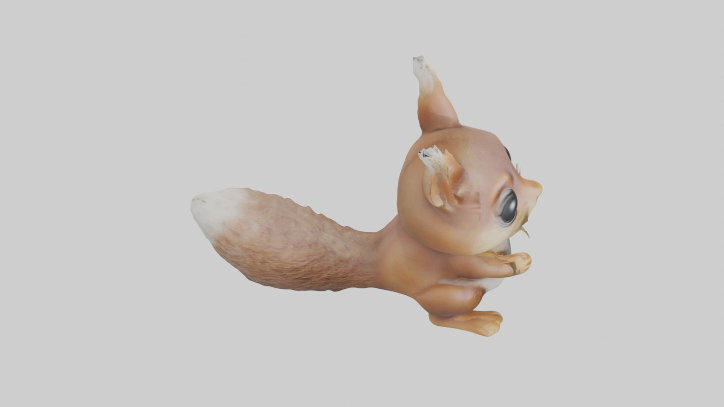 3D model Babysquirrel Model 1 VR / AR / low-poly