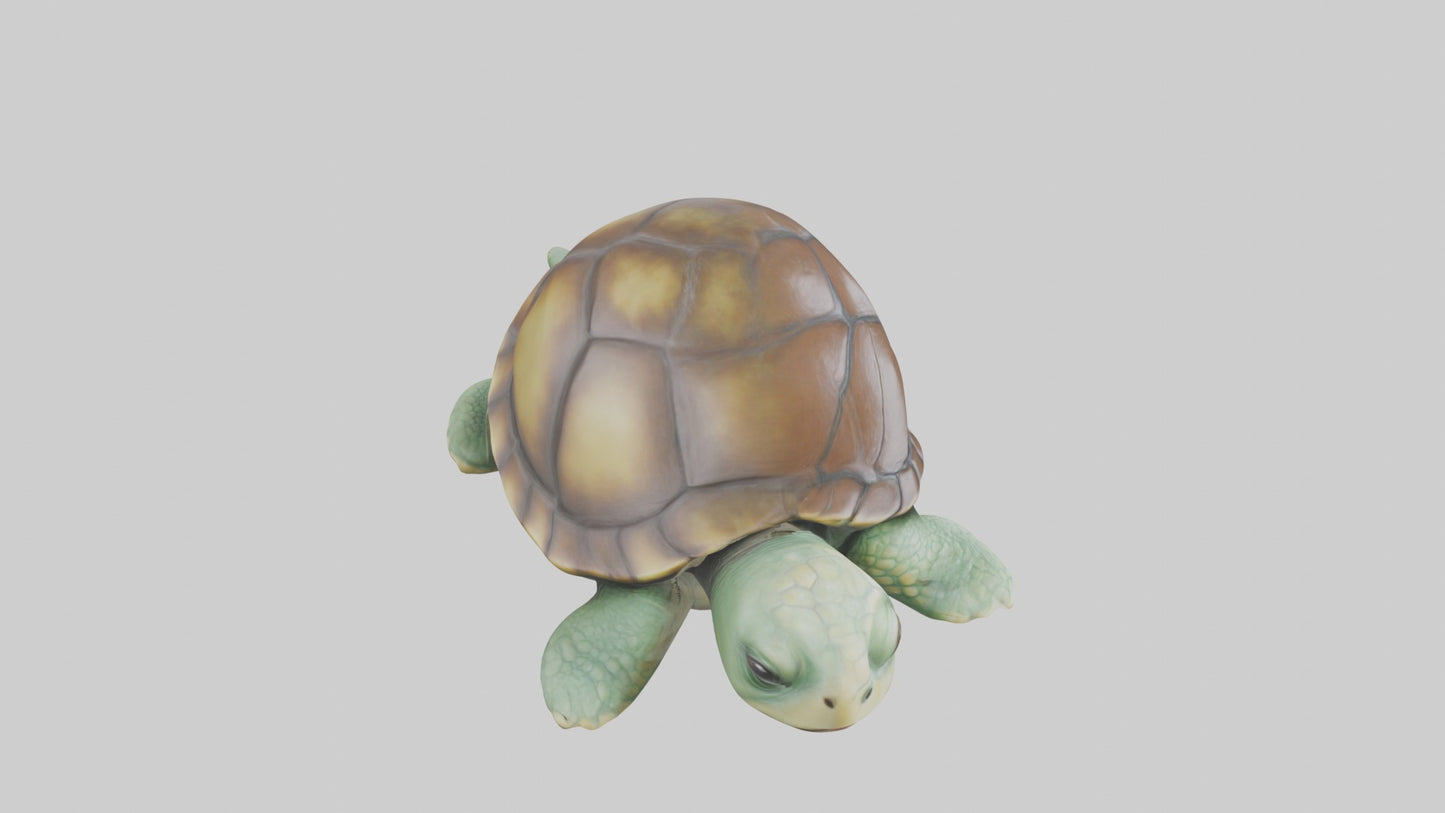 3D model Babyturtle Model 1 VR / AR / low-poly