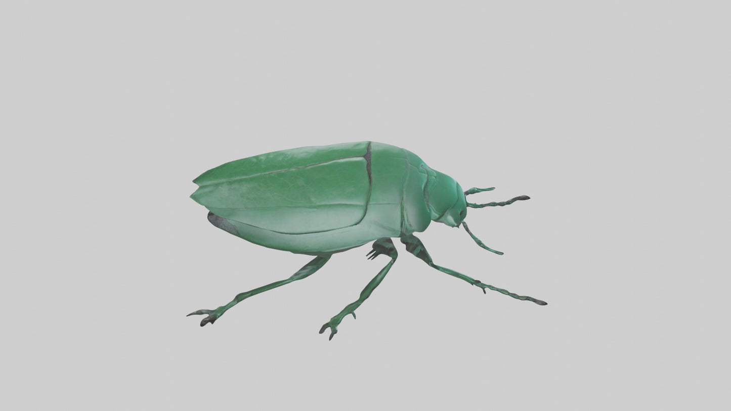 3D model Beetle on leaf model VR / AR / low-poly