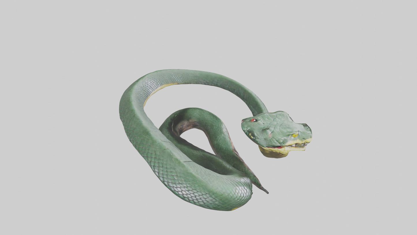 3D model Bushmaster Snake statue model VR / AR / low-poly
