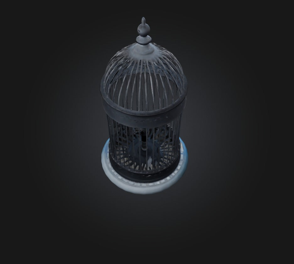 3D model cage model VR / AR / low-poly