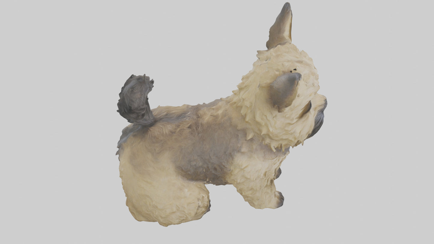 3D model Cairn Terrier sitting model VR / AR / low-poly