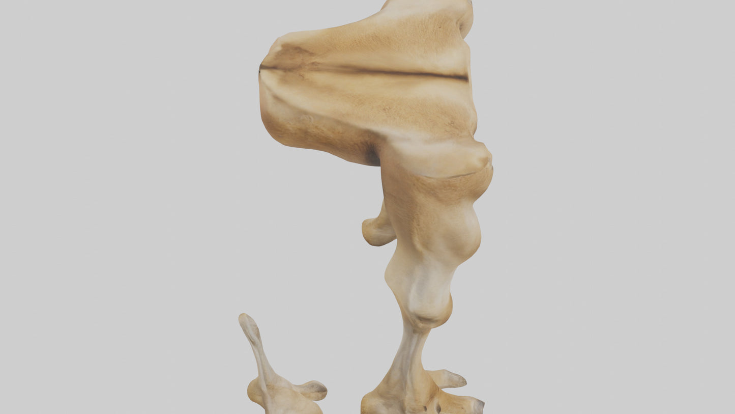 3D model Camel Legs VR / AR / low-poly