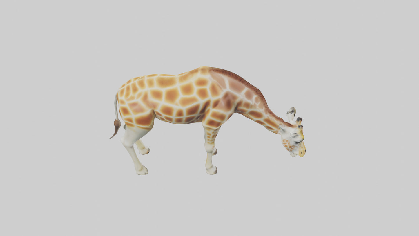 Camelopardalis Giraffe grazing model VR / AR / low-poly