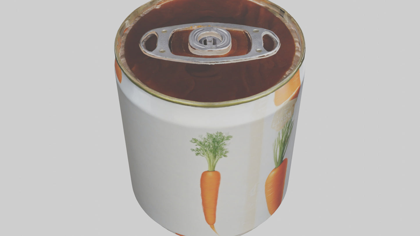 3D model Canned Carrots model VR / AR / low-poly