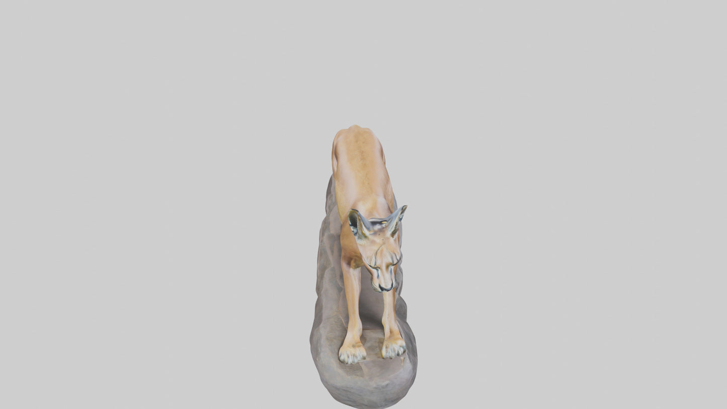 Caracal statue model VR / AR / low-poly