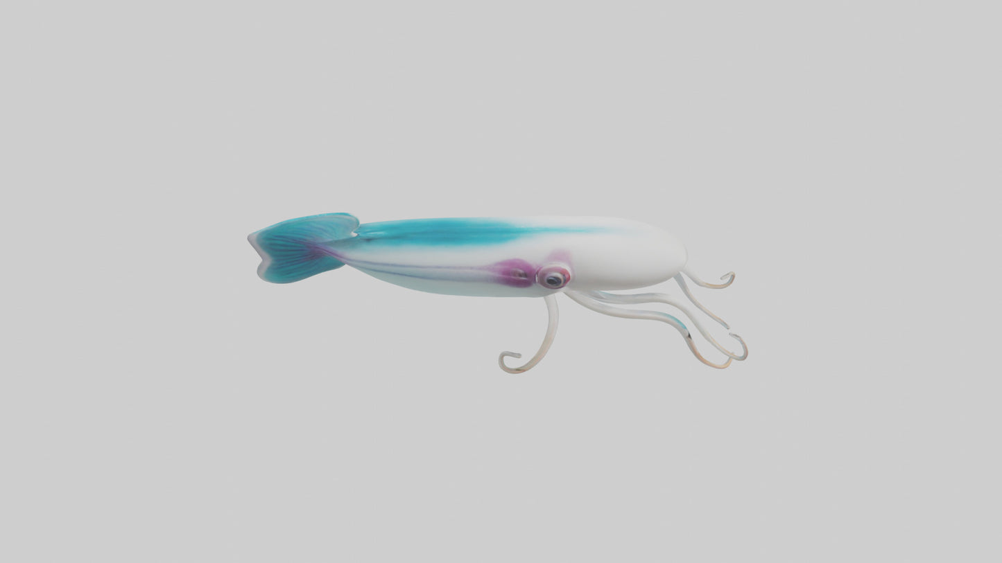 3D model Caribbean Reef Squid gliding model 2 VR / AR / low-poly