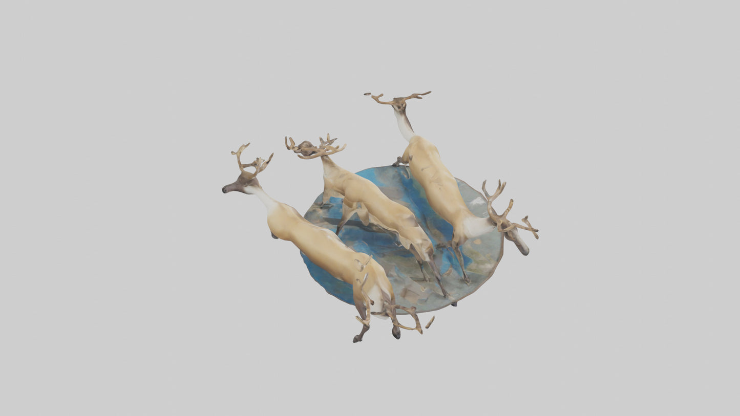 3D model Caribou migrating model VR / AR / low-poly