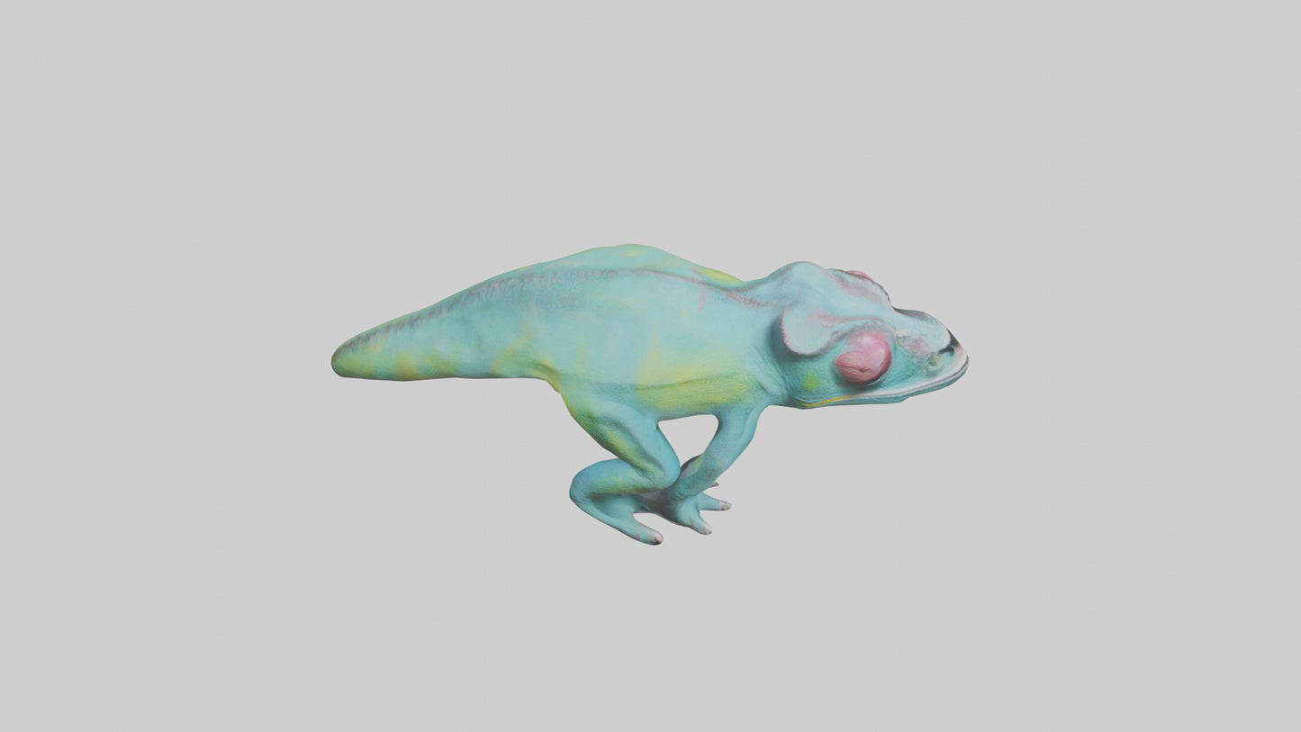 3D model Chameleon Eyes Model VR / AR / low-poly