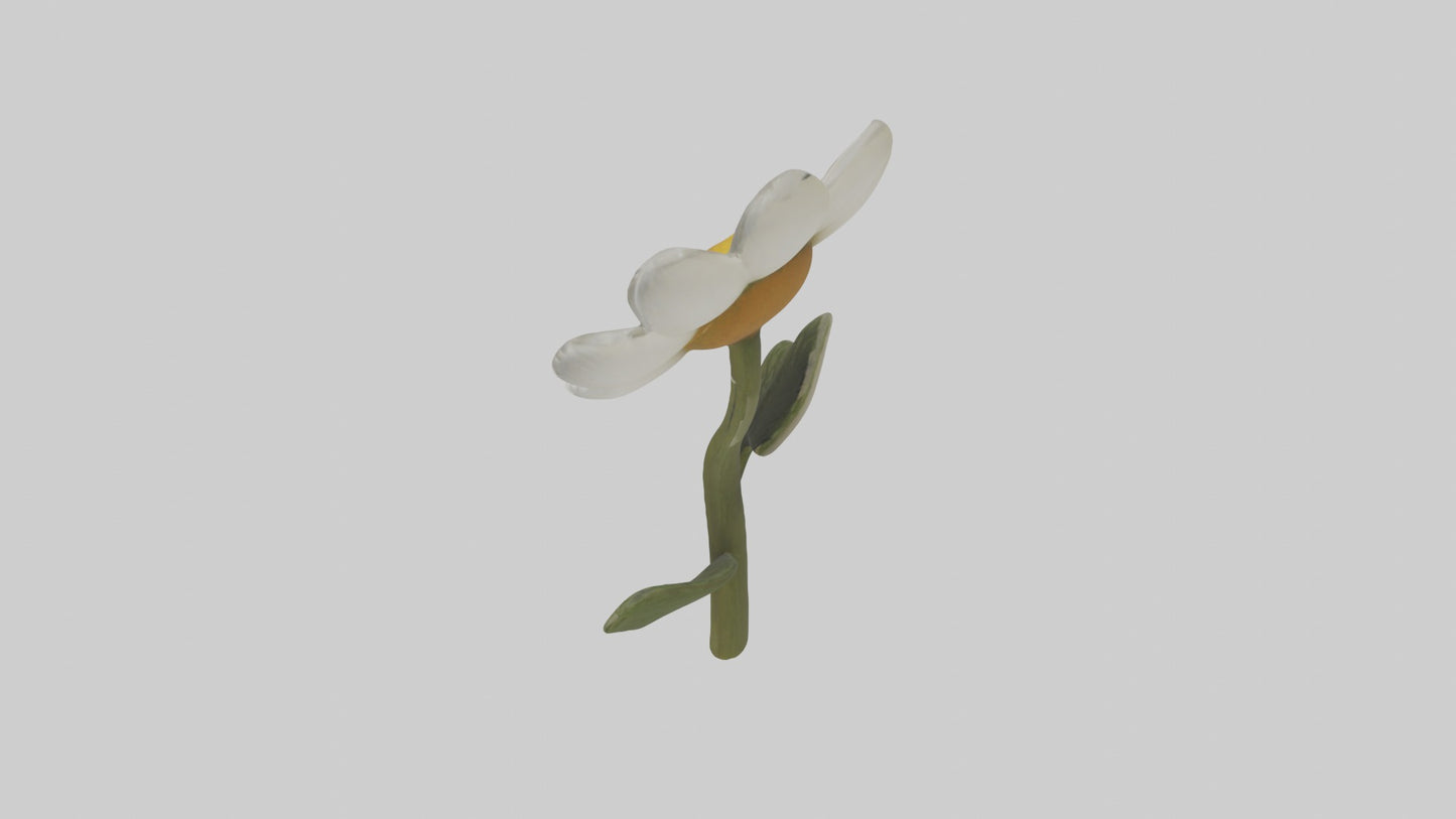3D model Chamomile Model VR / AR / low-poly