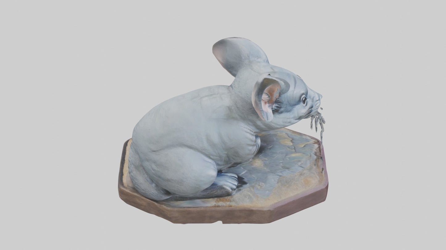3D model Chinchilla statue model VR / AR / low-poly
