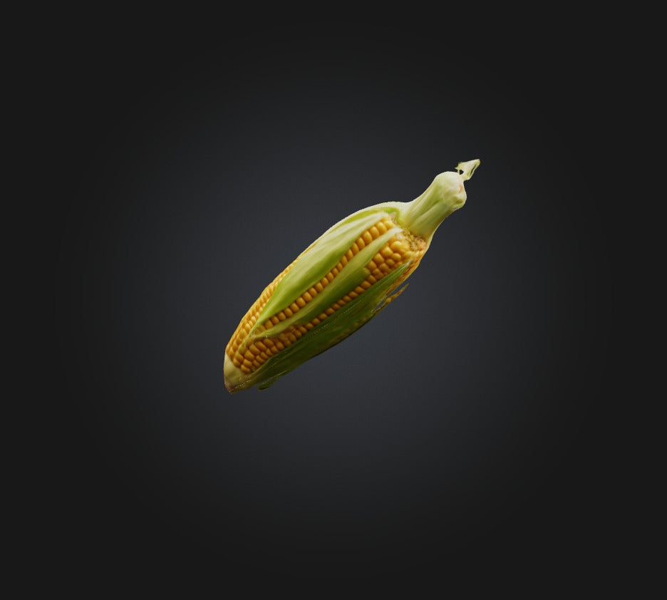 3D model Corn 2 VR / AR / low-poly