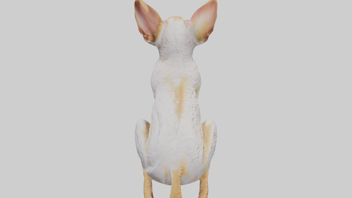 Cornish Rex statue model VR / AR / low-poly