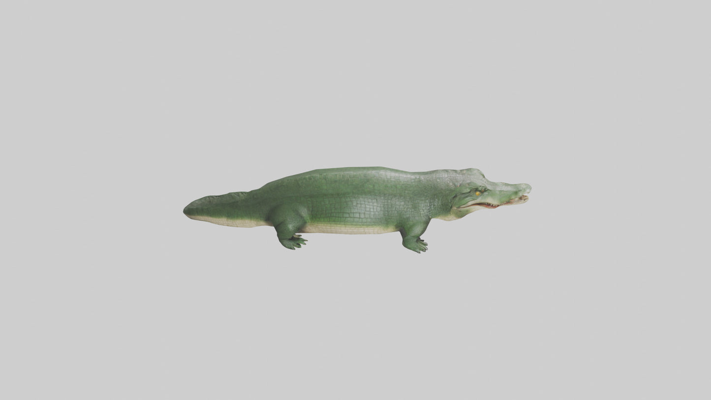 3D model Crocodile Scales Model VR / AR / low-poly