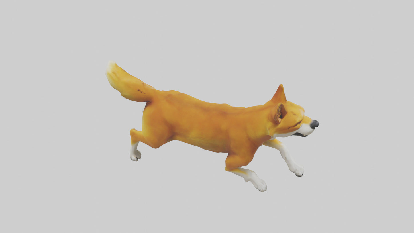 Dingo chasing prey model 3D model