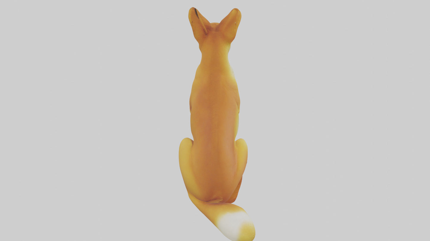 Dingo sitting model 3D model