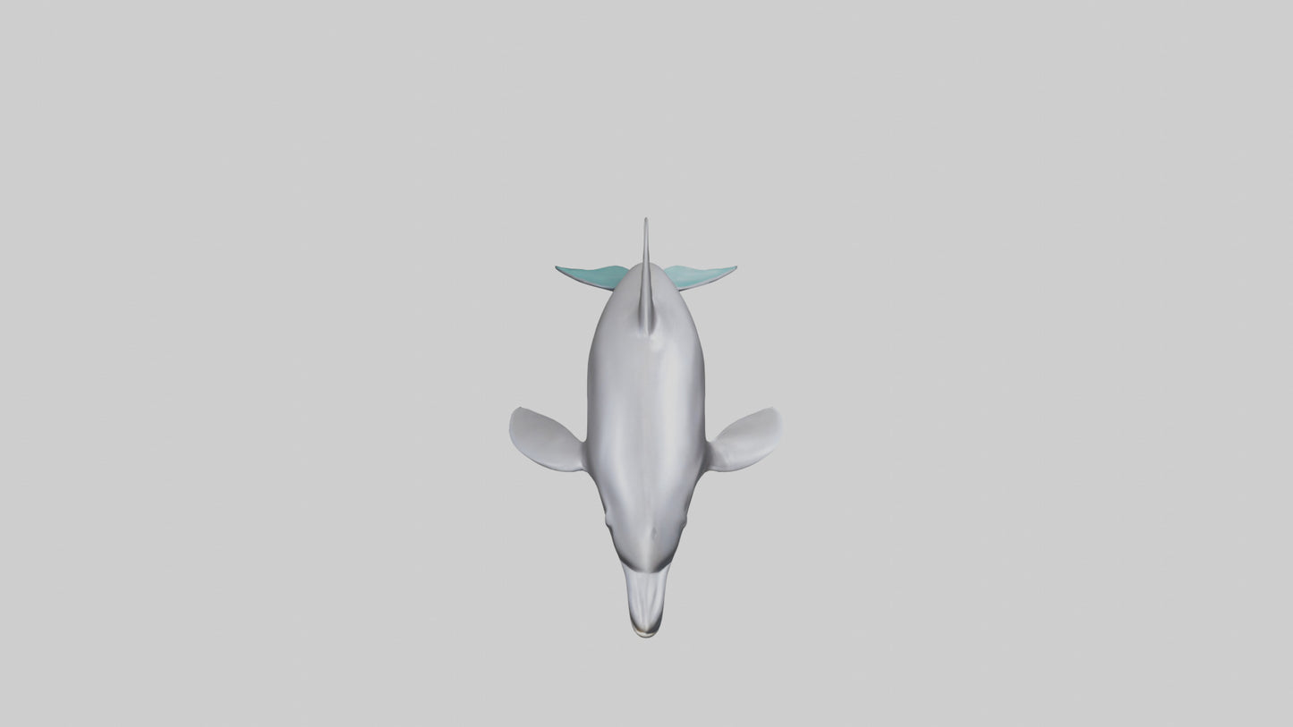 Dolphin Dorsal Fin Model VR / AR / low-poly