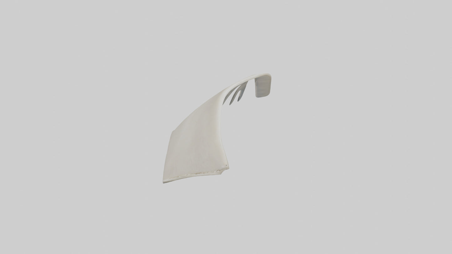 Dolphin Fin Skeleton model 3D model