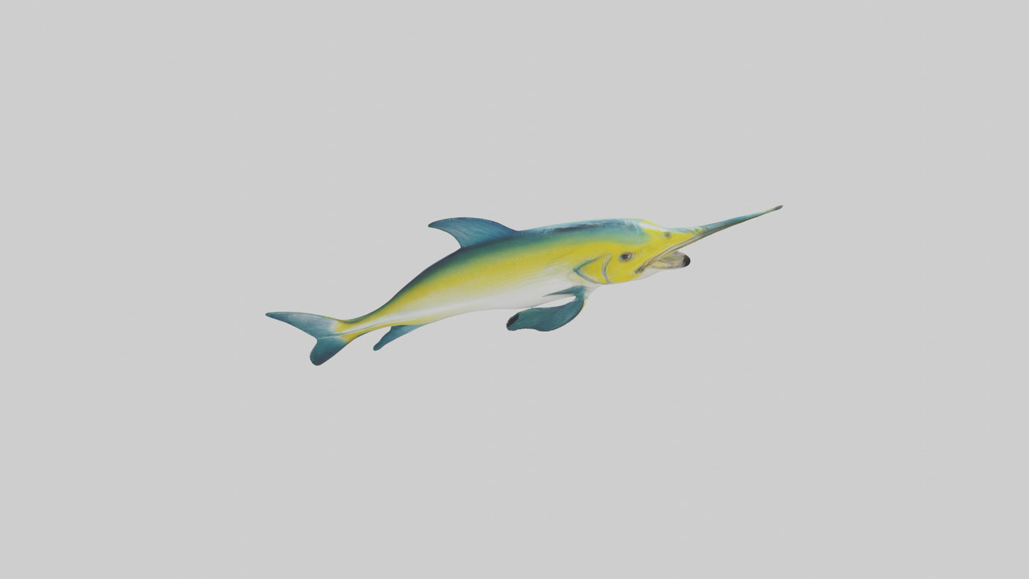 3D model Dolphinfish leaping model VR / AR / low-poly