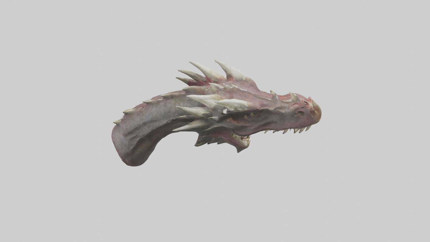 3D model Dragon Teeth model VR / AR / low-poly