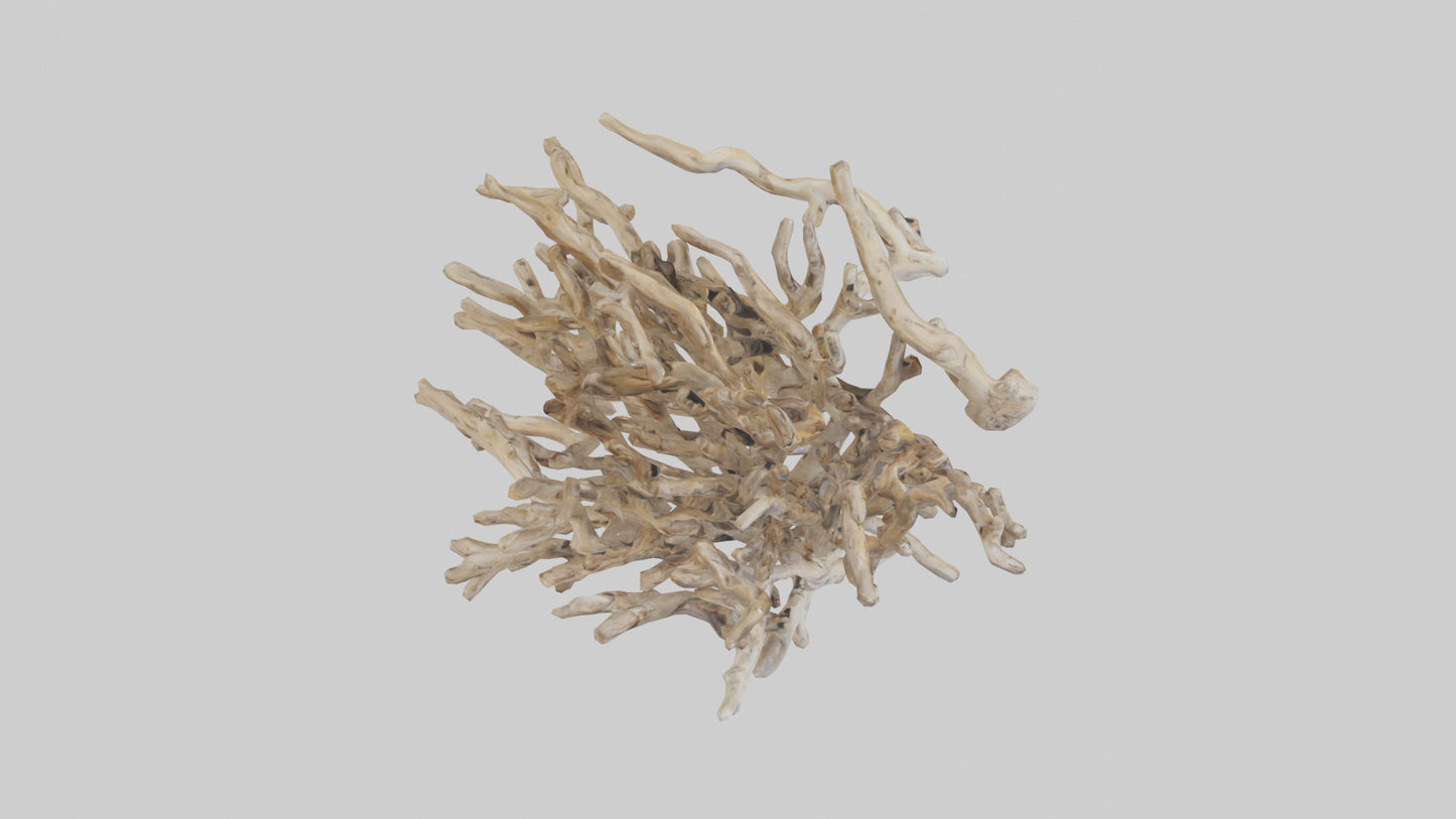 3D model Driftwood Sculpture model VR / AR / low-poly