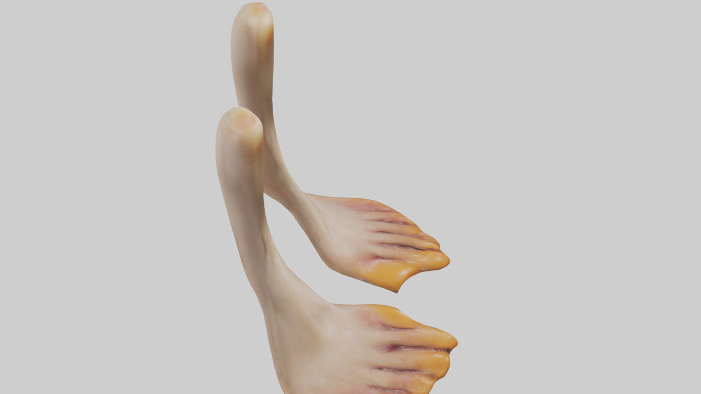 3D model Duck Feet VR / AR / low-poly