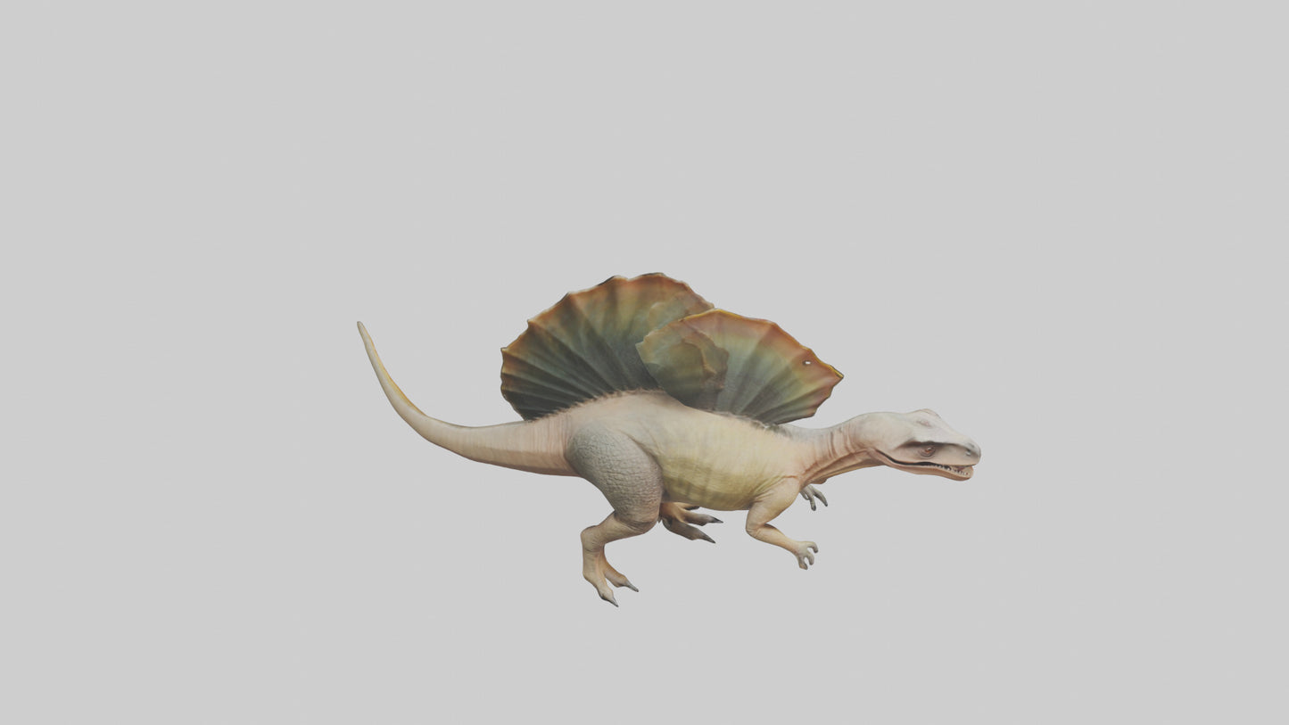 Edaphosaurus model 3D model