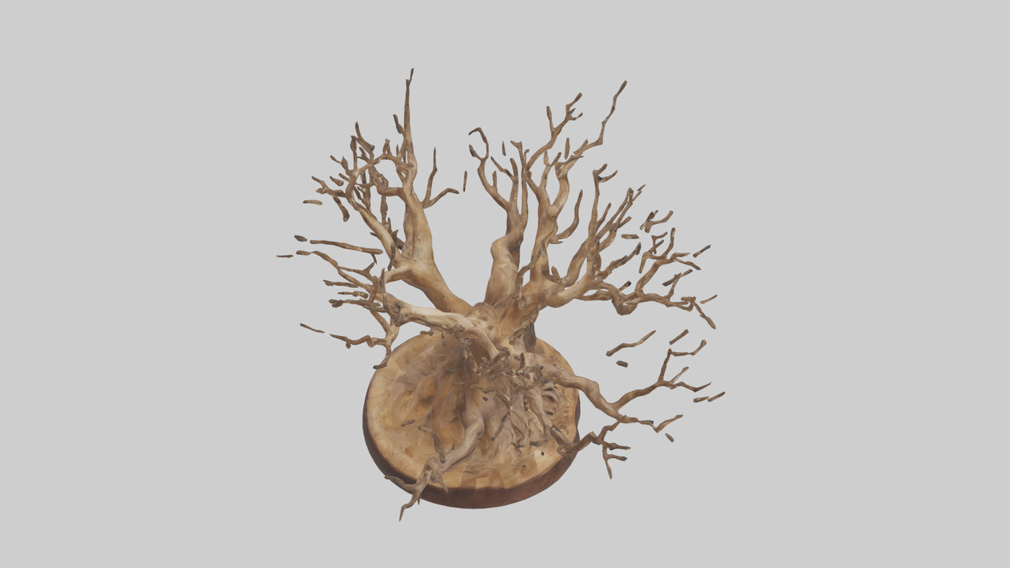 Elegant Root Sculpture model 3D model
