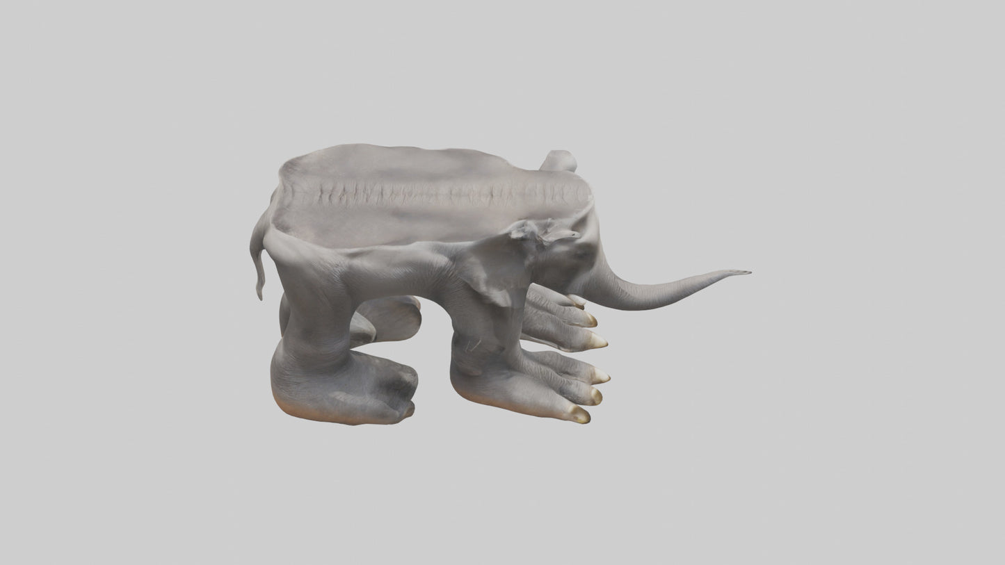 Elephant Feet 3D model