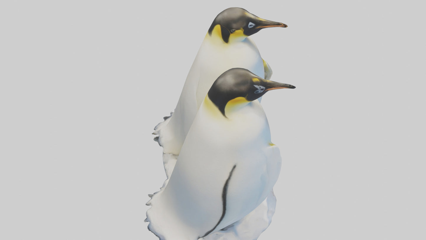 3D model Emperor Penguin nesting model VR / AR / low-poly
