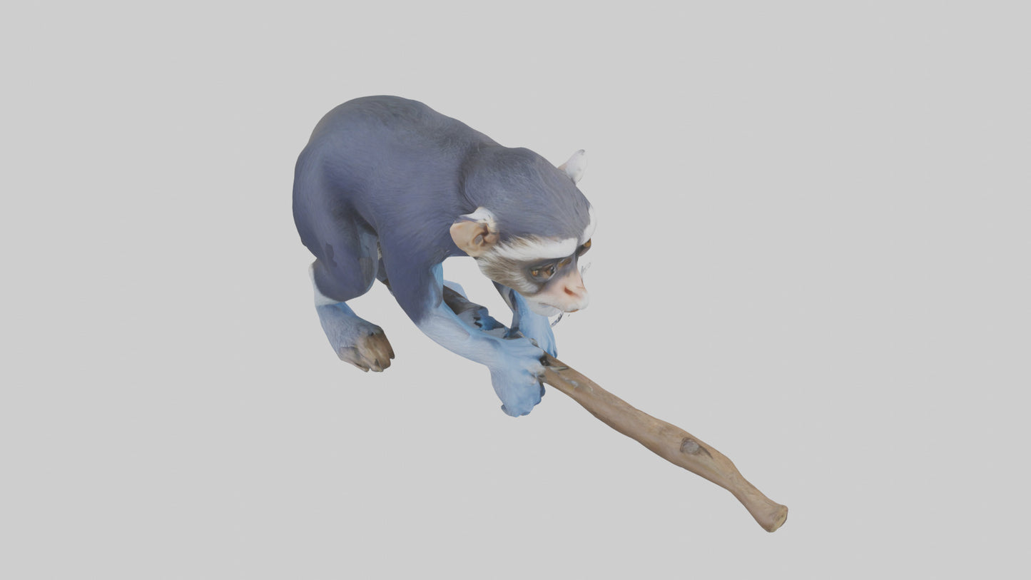3D model Emperor Tamarin perched model 2 VR / AR / low-poly