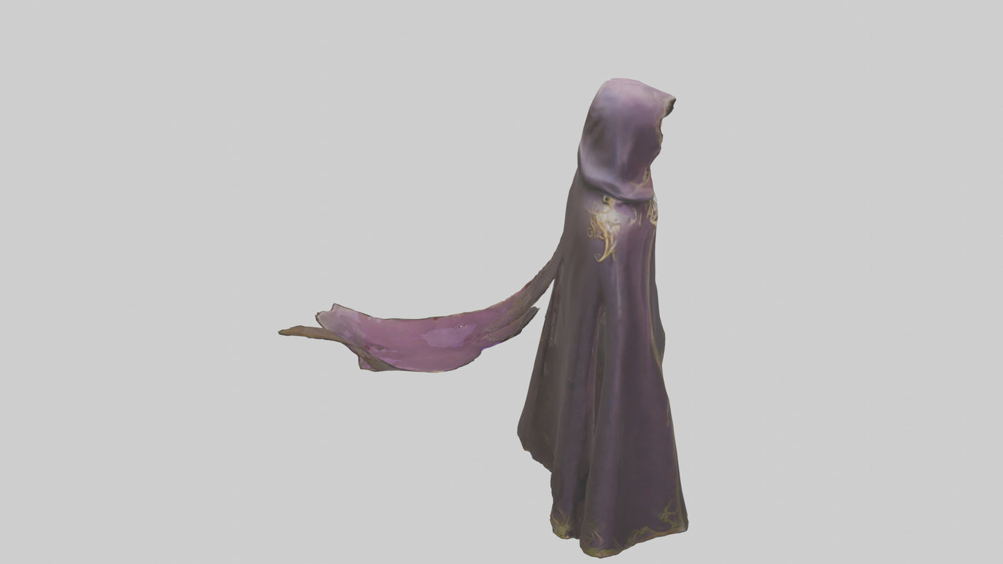 3D model Enchanted Cloak model VR / AR / low-poly