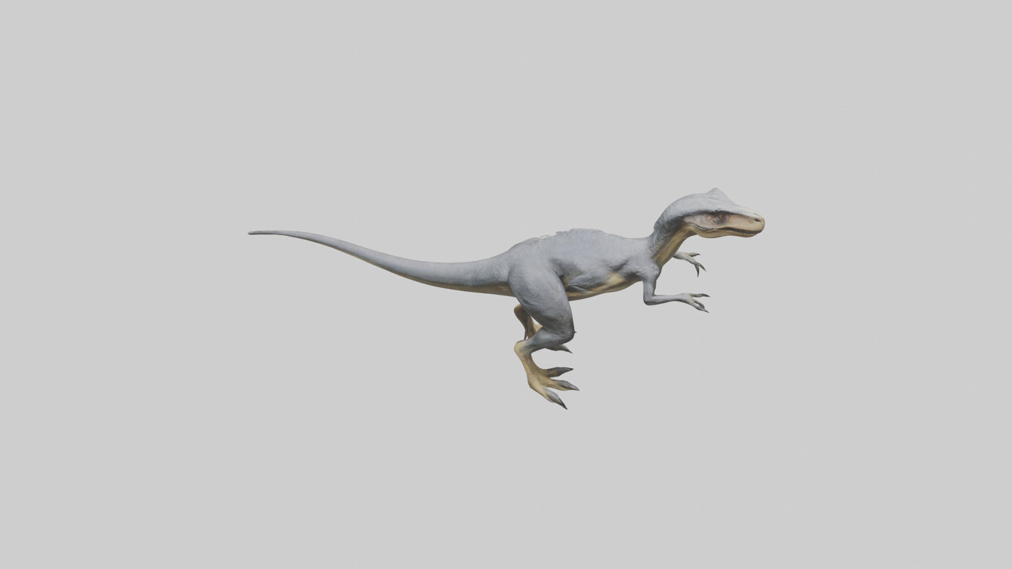 Eoraptor model VR / AR / low-poly