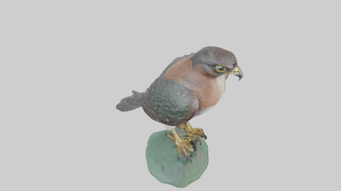 Eurasian Sparrowhawk statue model VR / AR / low-poly