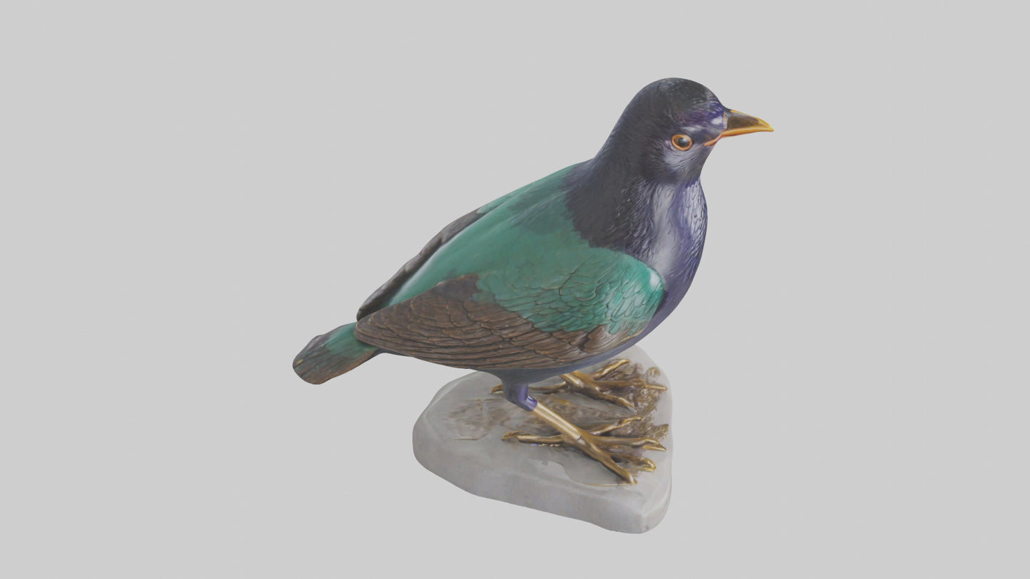 European Starling statue model 3D model