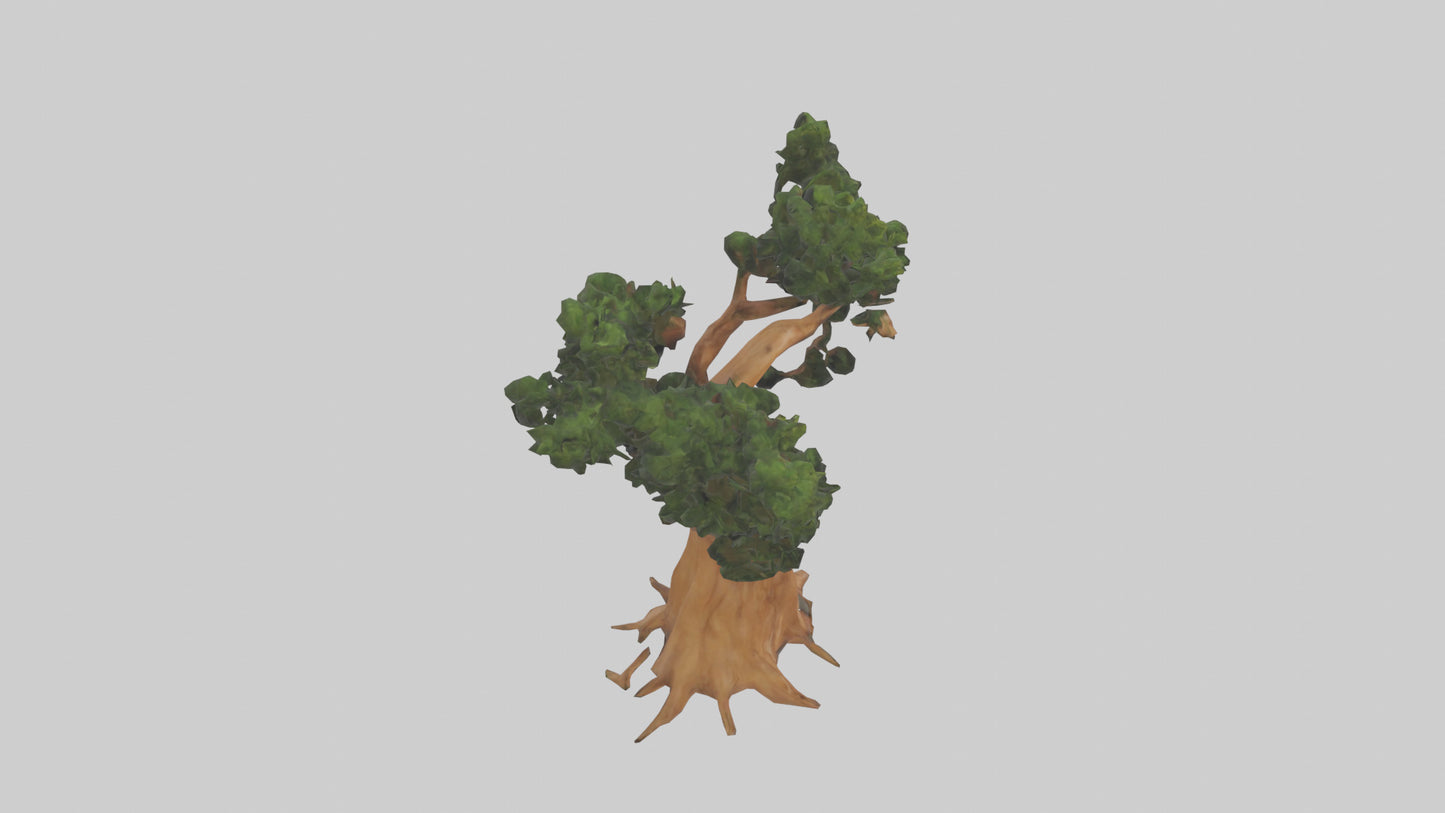 European Yew tree model 3D model