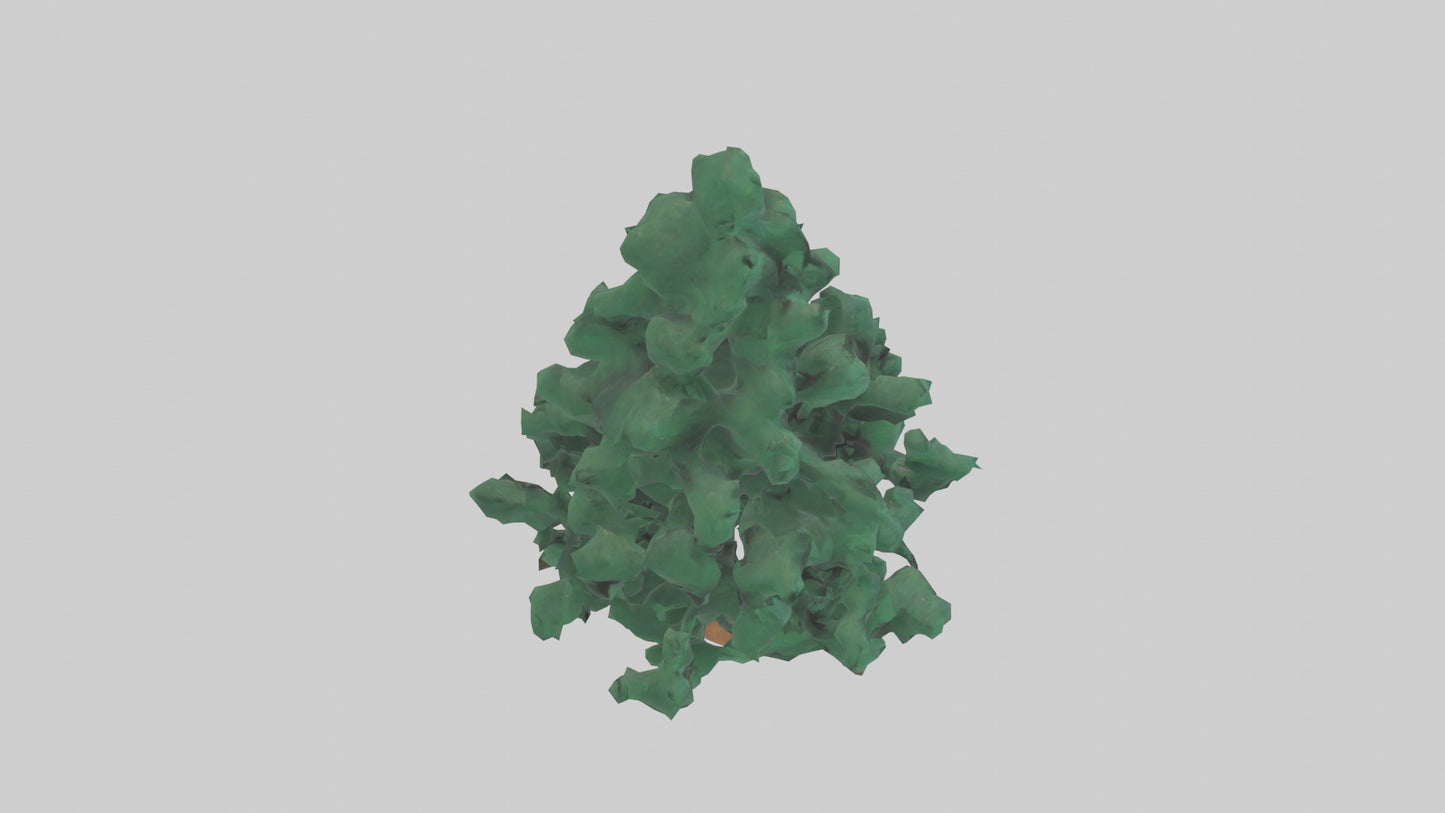 3D model Fir tree model VR / AR / low-poly