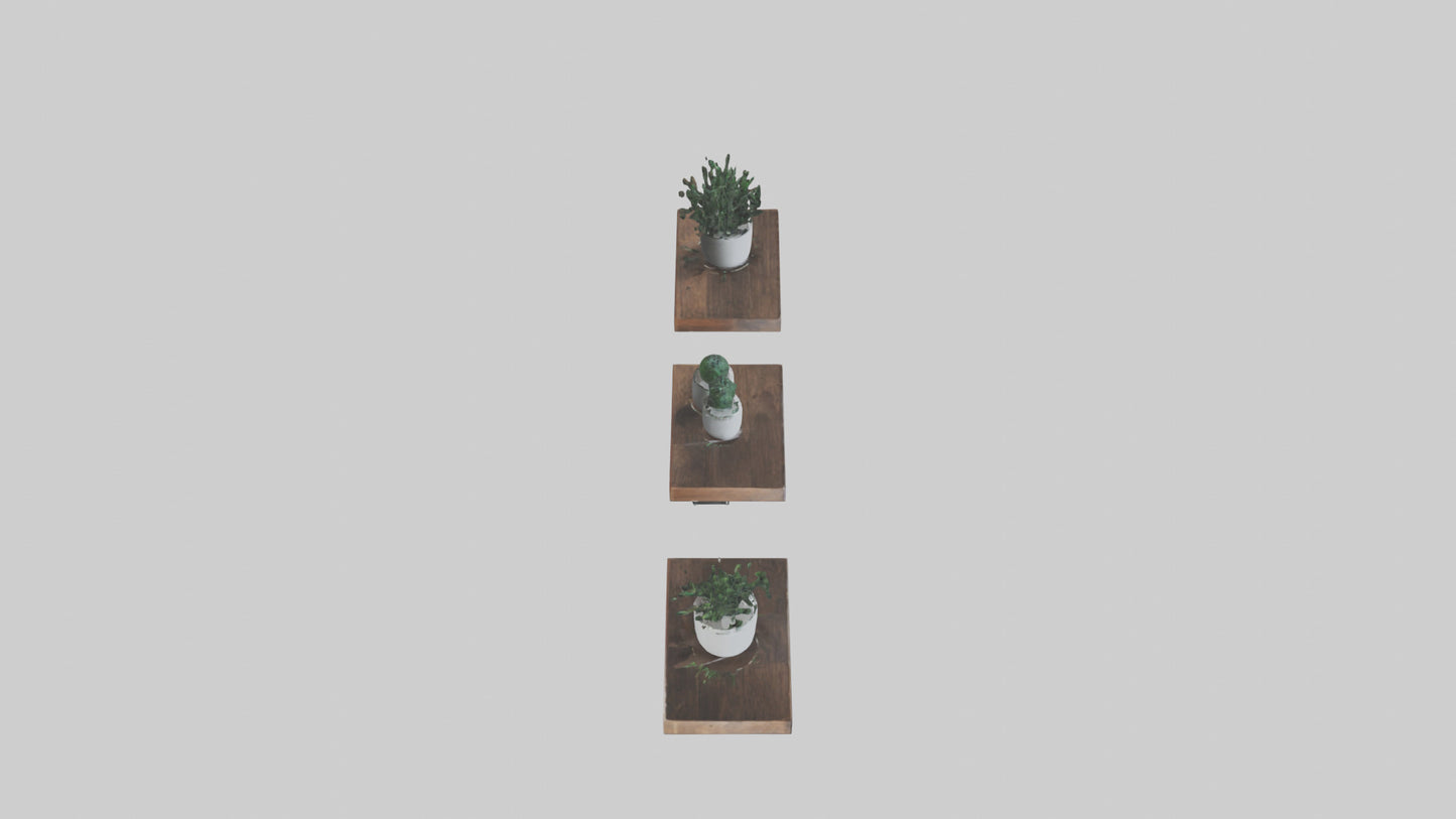 Floating Shelves 3D model