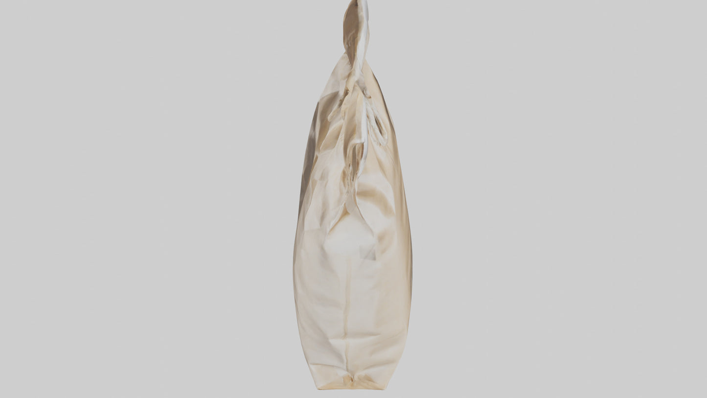 Flour Bag model 3D model